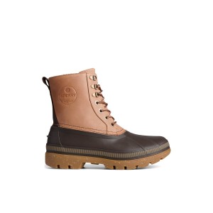 Beige Sperry Ice Bay Thinsulate Tall Duck Boot | 7691-MCBQH