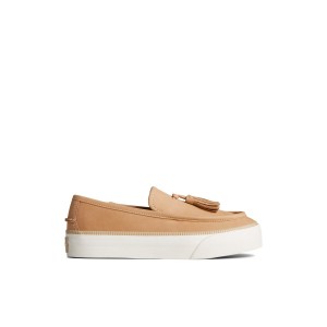 Beige Sperry Sea Sailor Platform Sneaker | 5174-RIOBG