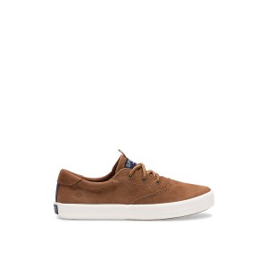 Beige Sperry Spinnaker Washable Sneaker | 2345-HBTCA