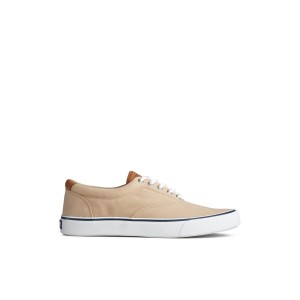 Beige Sperry Striper II CVO Sneaker | 3506-WLBHA