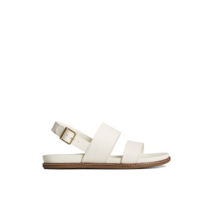 Beige Sperry Waveside PLUSHWAVE Backstrap Sandal | 0491-UFBKM