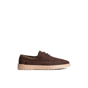 Brown Sperry Cabo II Oxford | 4630-CYPMI