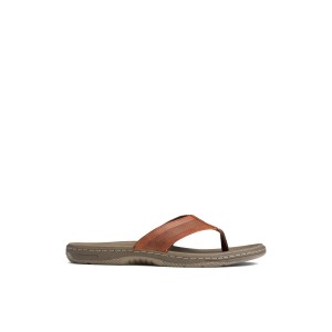 Brown Sperry Havasu Perf Flip Flop | 1067-GZNXH