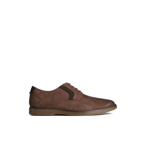 Brown Sperry Newman Oxford Dress Shoe | 3975-ANZMC