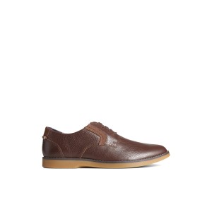 Brown Sperry Newman Oxford Dress Shoe | 9210-PRAJS