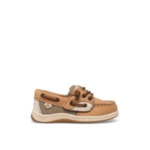 Brown Sperry Songfish Junior Boat Shoe | 2938-BHRSC