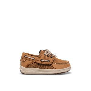 Dark Beige Sperry Gamefish Junior Boat Shoe | 5241-CYGNF