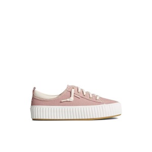 Dark Pink Sperry Pier Wave Platform Lace Up Sneaker | 4306-JMBWL