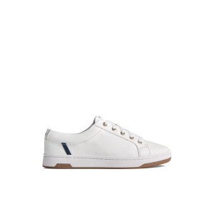 White Sperry Charter LTT Sneaker | 1894-AVPYB